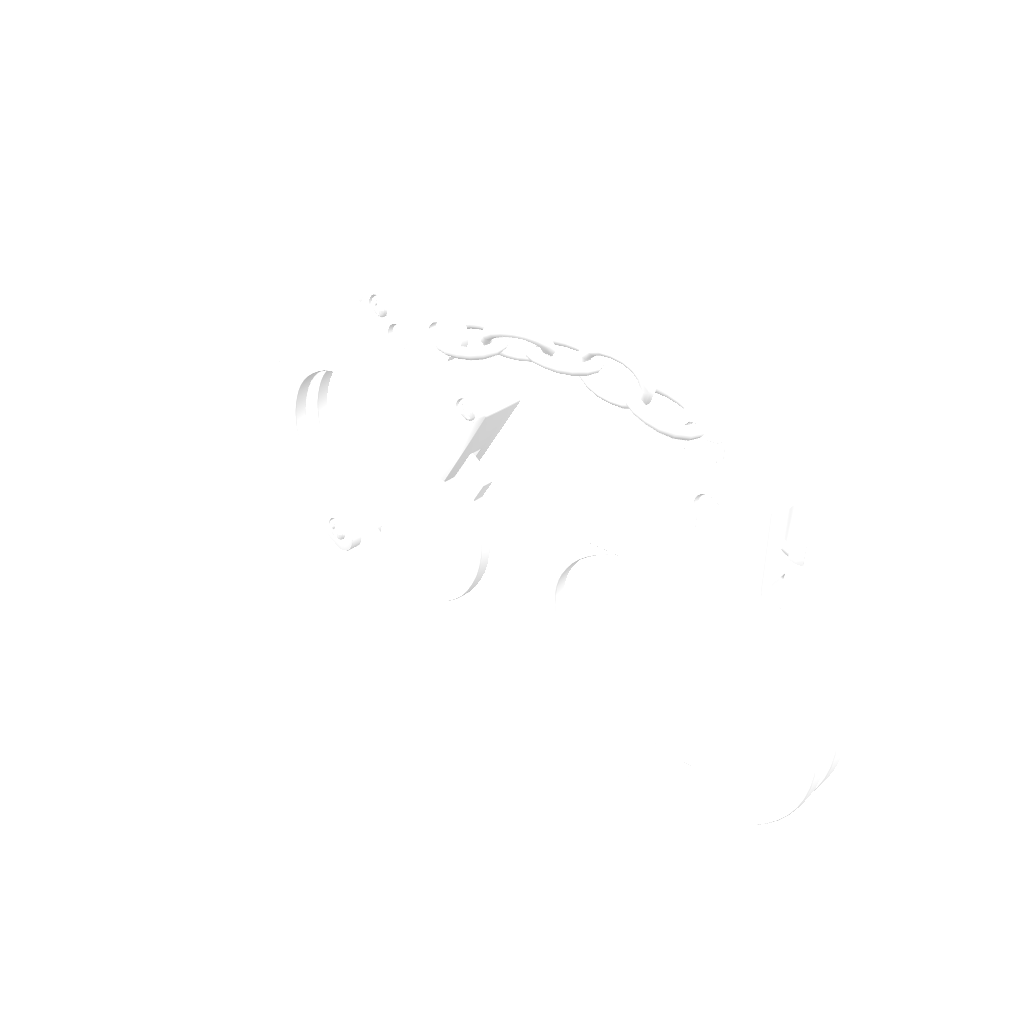 handcuffs 