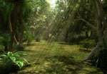 A forest