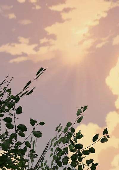 Free Time Around the Week