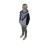 Marcel