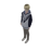 Marcel